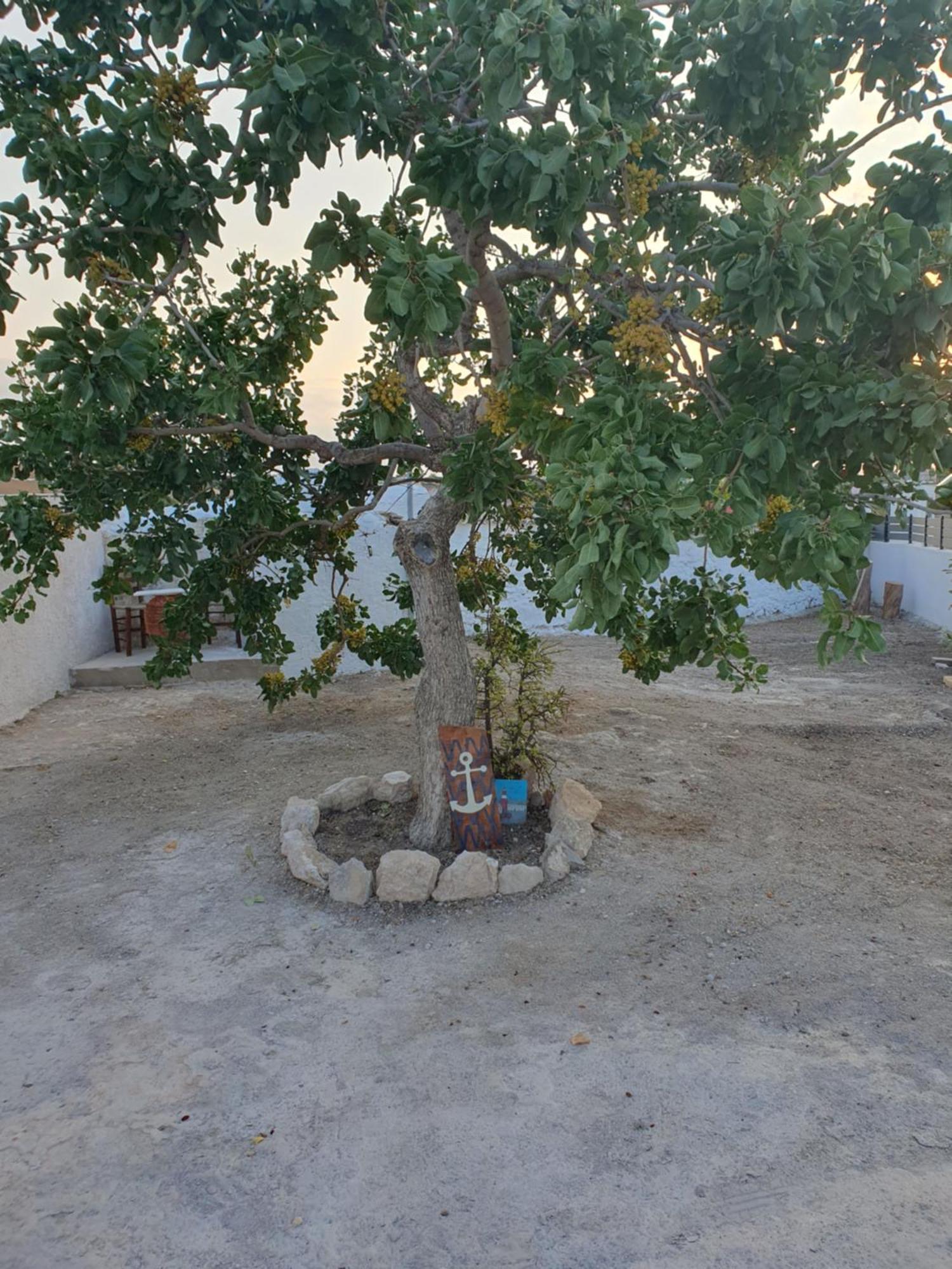 Da Vinci Kavouropetra Villa Aegina ภายนอก รูปภาพ